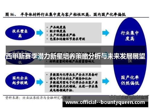西甲新赛季潜力新星培养策略分析与未来发展展望