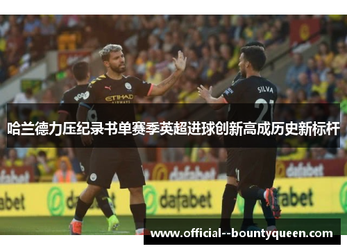 哈兰德力压纪录书单赛季英超进球创新高成历史新标杆