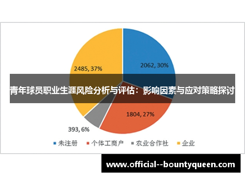 青年球员职业生涯风险分析与评估：影响因素与应对策略探讨
